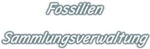 Fossiliensammlung Datenbank