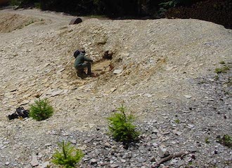 Selber Fossilien sammeln