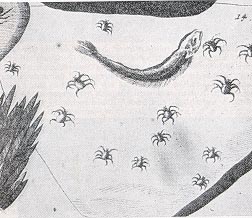 Eichstätter Spinnenstein